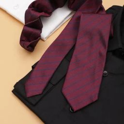 Allen Solly Maroon Polyester Striped Tie-picture-32