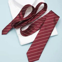 Allen Solly Maroon Polyester Striped Tie-picture-47