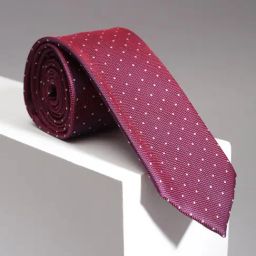 Allen Solly Maroon Polyester Embroidered Tie-picture-10