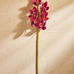 Pure Home and Living Red Plastic Boat Orchid Faux Single Flower Stem-picture-28