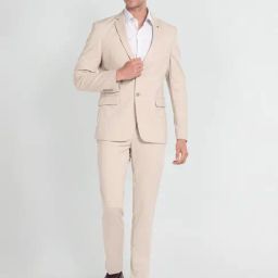 Arrow Beige Slim Fit Self Pattern Two Piece Suit-image-11