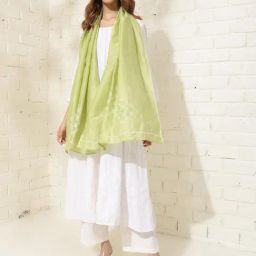 Fabindia Sage Green Embroidered Dupatta-image-63