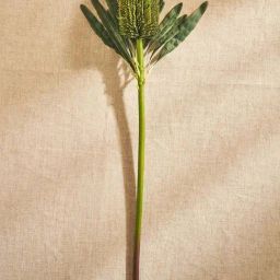 Pure Home and Living Green Plastic Protea Faux Single Flower Stem-image-44