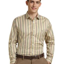 Allen Solly Beige Cotton Slim Fit Striped Shirt-image-87
