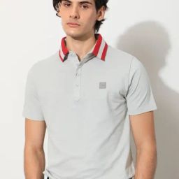 Rare Rabbit Grey Regular Fit Solid Polo T-Shirt-image-13