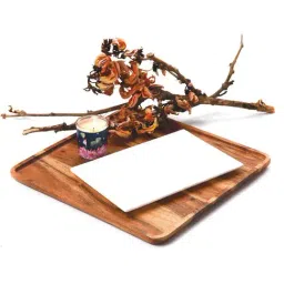 ICraft White Marble Shwet Platter - Set of 1-40
