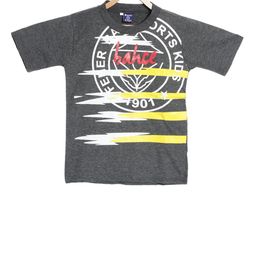 SWEET ANGEL Boys Charcoal Grey Printed Round Neck T-shirt-image-90