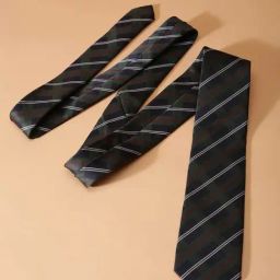 Allen Solly Green Polyester Striped Tie-picture-30