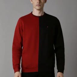 Louis Philippe Multicolored Regular Fit Colour Block Sweatshirt-17