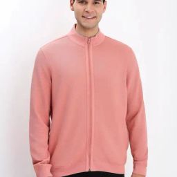 Allen Solly Pink Regular Fit Texture Sweatshirt-image-66