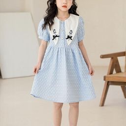 LULU & SKY Girls Checked Embroidered Collar A-Line Dress-image-29