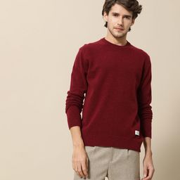 Mr Bowerbird Men Maroon Solid Round-Neck Pullover Sweater-image-44
