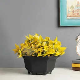 Foliyaj Artificial Plant with Greenish Yellow Leaves and Flowers with Pot-picture-9
