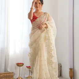 DIVASTRI Embellished Sequinned Organza Heavy Work Saree-picture-19