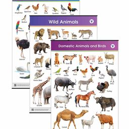 Target Publication Animals and Birds Educational Chart Pack of 3 - English-14