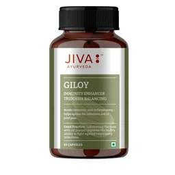 Jiva Giloy Capsule For Digestion 60 Capsule-0
