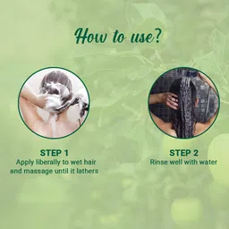 Biotique Green Apple Shine and Gloss Shampoo & Conditioner for Oily Scalp & Hair 190 ml image 4