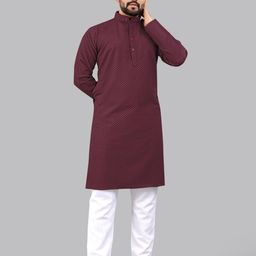 allan peter Men Embroidered Kurta-picture-17