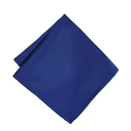 Peter England Blue Solid Pocket Square-46
