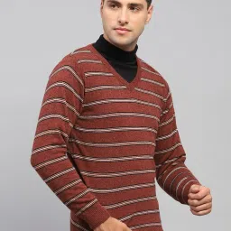 Monte Carlo Rust Regular Fit Striped Pullover image 4