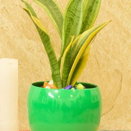 SONE KEY CHIDIYA Red Metal Planters-image-60