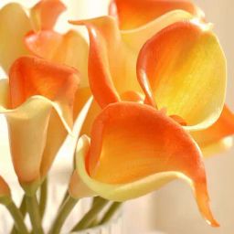 Pure Home and Living Orange Plastic Calla Lily Artificial Flower Stem-image-95