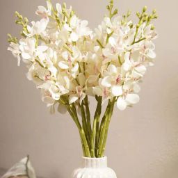 Pure Home and Living Ivory Plastic Artificial Vanda Orchid Flower Stem-14
