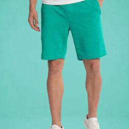 Rare Rabbit Green Cotton Regular Fit Solid Shorts-picture-35