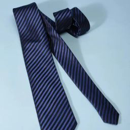 Allen Solly Navy Polyester Striped Tie-image-53