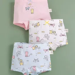 Poftik Girls Pack Of 3 Assorted Mid Rise Hipster Briefs +1BOX_GIRL_PANTY_120_PINK-BOX__A2-picture-12