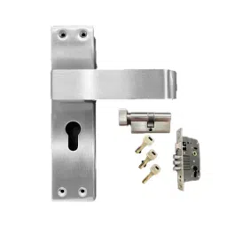 Cozi Gold 240x180x65 mm Stainless Steel and Brass Zinc Finish Mortise Door Handle 11001-CY-SS-image-87