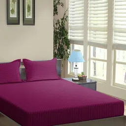 Trance Home Linen Purple Striped Pure Cotton 200 TC Single Bedsheet Set-2.74 m x 2.74 m-image-58