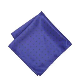 Peter England Blue Printed Pocket Square-image-19