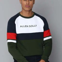 Allen Solly Sport Green & Blue Cotton Regular Fit Colour Block Sweatshirts-image-24