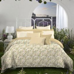 MyMytrident Aroma Fragrance 1 King Size Bedsheet with 2 Pillow Covers,-image-27