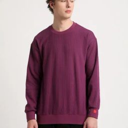 The Bear House Purple Cotton Regular Fit Striped Sweatshirt-22