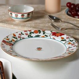 India Circus By Krshna Mehta Multi Bone China Printed Dinner Plates-24
