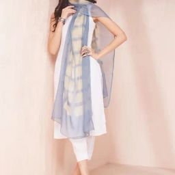 Fabindia Blue Printed Dupatta-image-62