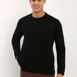 Allen Solly Black Regular Fit Sweatshirt-picture-19