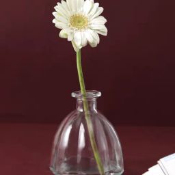 Tayhaa Transparent Glass Vases-image-26