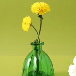 Tayhaa Green Glass Vases-picture-34