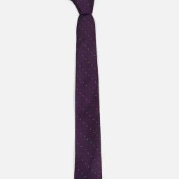 Van Heusen Purple Polyester Embroidered Tie-picture-38