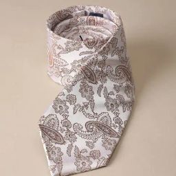 Peter England White Microfiber Embroidered Tie-picture-36