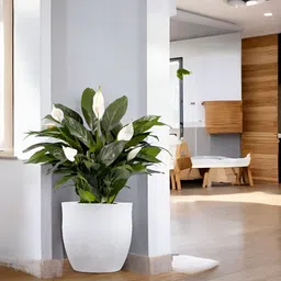 Go Hooked White & Green Pluto-Shaped Durable Planter image 4