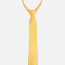 Van Heusen Yellow Polyester Embroidered Tie-picture-27