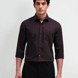 Arrow Brown Cotton Slim Fit Striped Shirt-image-104