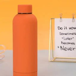 Little Surprise Box Orange Stainless Steel Matt Finish Double Wall Bottle (750 ml)-45