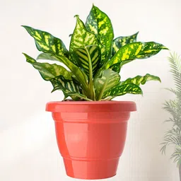 Kuber Industries Red & Green Set Of 10 Plastic 2-Layer Planters image 2