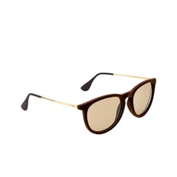 Ted Smith Unisex Brown Lens & Brown Oval Sunglasses with UV Protected Lens-image-11