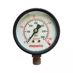 B K JAGAN & CO Stainless Steel Pressure Gauge (Range 600 PSI)-24